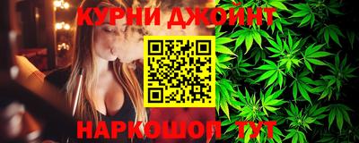 шишки Бердск