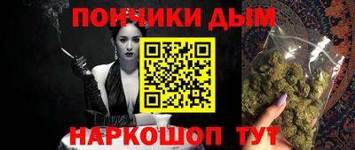 шишки Бердск