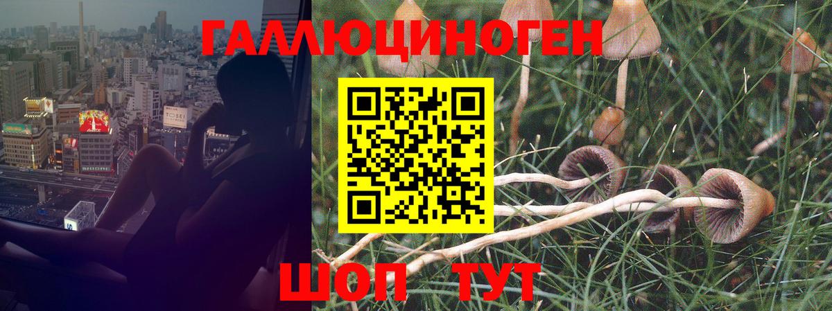 Галлюциногенные грибы прущие грибы  Вход с VPN  Спасск-Дальний 